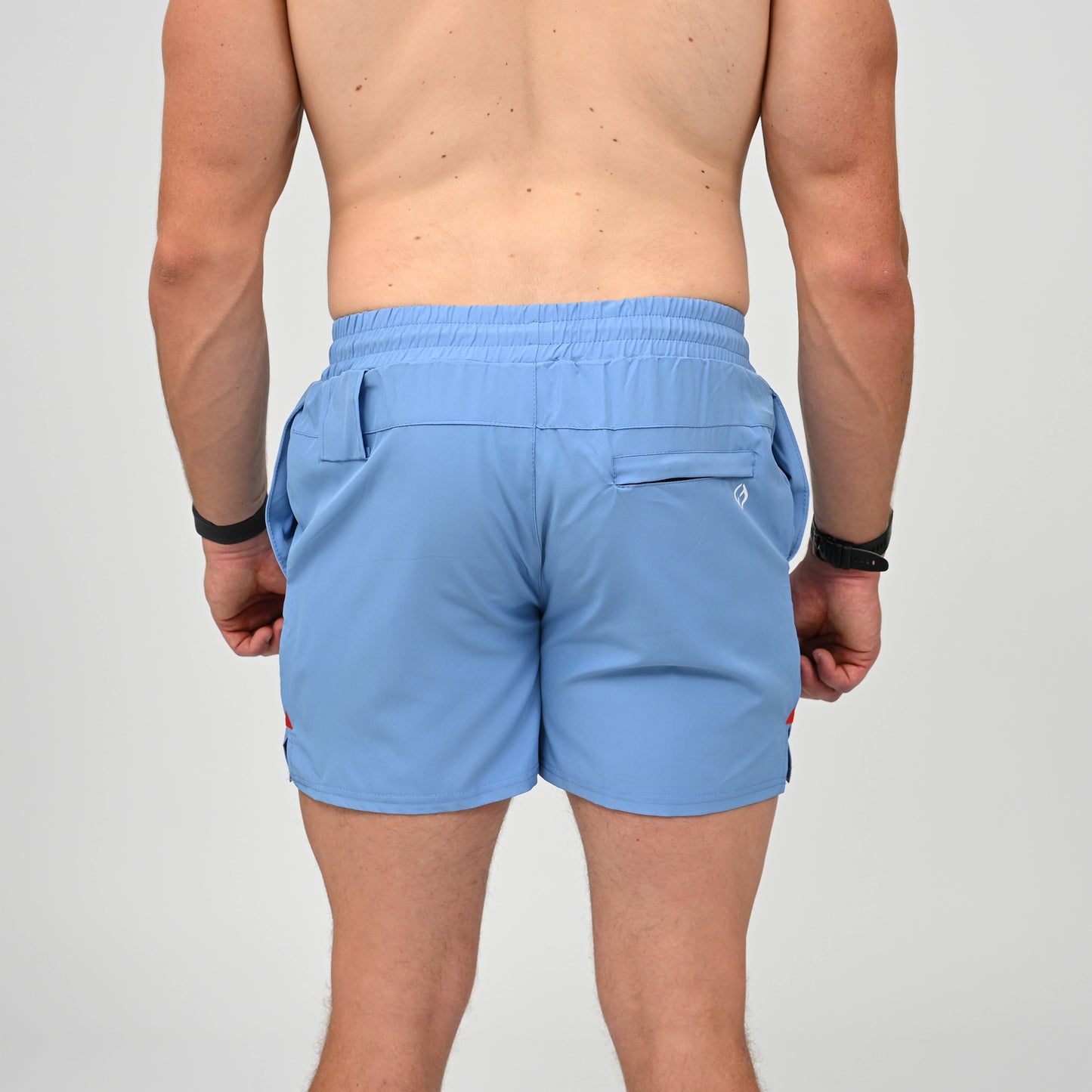 Playa Shorts