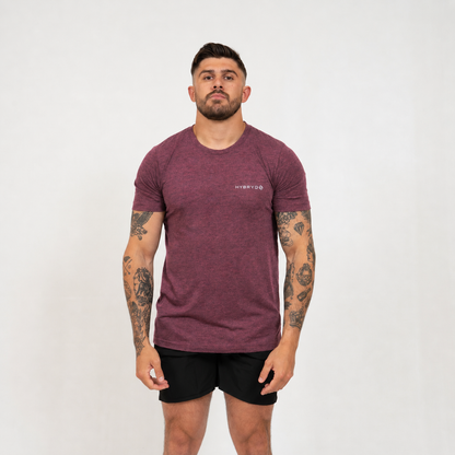 Man wearing a maroon Hybryd t-shirt with a logo on a white background