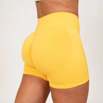 Hybryd gymwear shorts booty style with a high waist and cinh